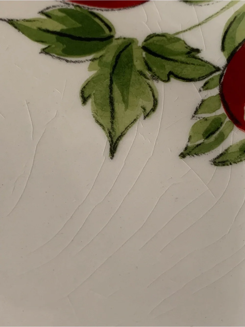 2 Crate & Barrel Tomato Vine Ceramic Pasta Bowls Plates Dishes Portugal 9